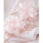 Lilys clothing's aesthetic! x