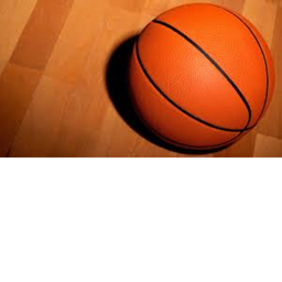 minipatbasketballfighting