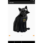 Cat fan club funni