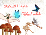 قروب صابرين