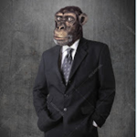 MrHandsomeMonkeyMan's Army