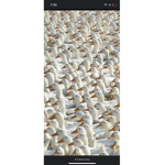 The best duck gang ever