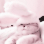 ~Hello Kitty<33