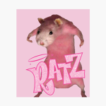 * r a t s *