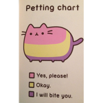 *pusheens are awesome(ZQ)*