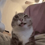 MrCooolGuyy69's Place