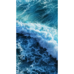 Blue Sea Gymnastics