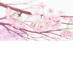 blossom hangout!!