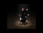 Danced out RAT