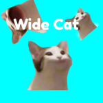 Wide cat