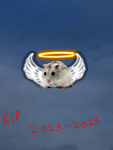 Gary the hamster