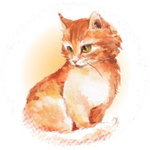 Scratch