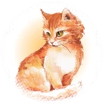 Scratch