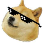 Pi-e-se-ły DogeR-a