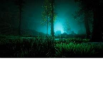 The Forest Hunters..