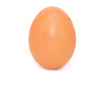 egg chat