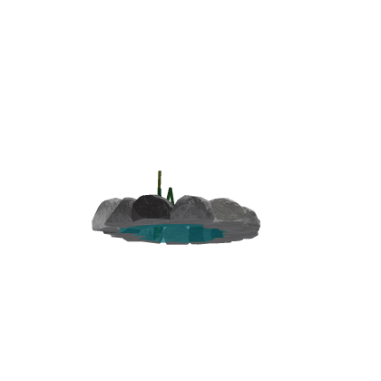 Pond