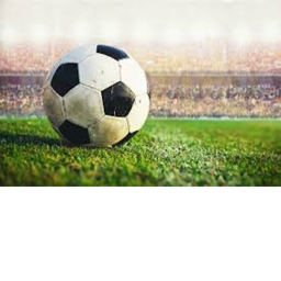 Lionel Soccer