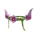 🎁 Lotus Prince