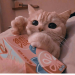 ~Ron~