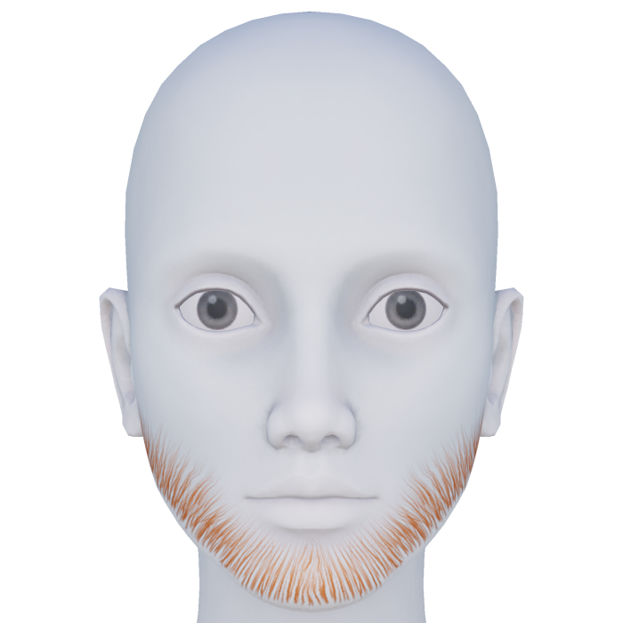 Ginger Stubble Beard: