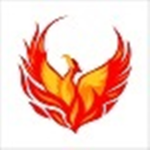 Team PhoenixForever