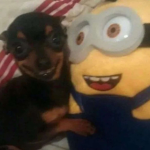 lore y merlin