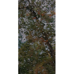C409_C4DET