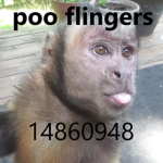 poo flingers