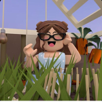hOlIz dOi RoBux :)