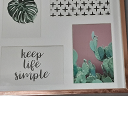 Preppy boxxoms hangout!
