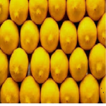 epic lemon army
