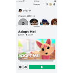 Roblox gamer queen