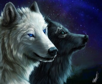Live life in the wild Rp as a wolf™ classic