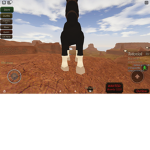 No Cowboys Here