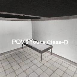 POV: Your a Class-D.