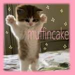 muffincakebites