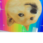 Meme express