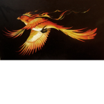 -phoenix United-