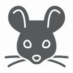 The Rat Raid Rebellion