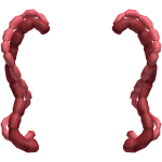 Roblox entity thumbnail