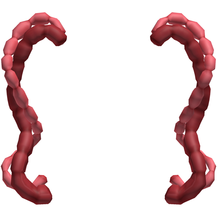 ʚ kawaii creepy cute guts intestine pigtails red