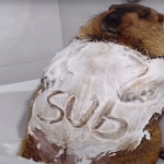 subthreads
