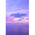 elyxr