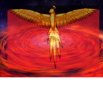 Bird explosion
