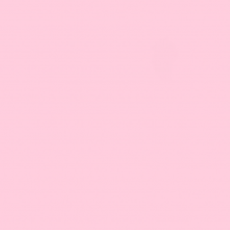 Bree’s Boutique!