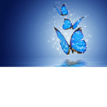 Dazzling Butterfly Dance Company