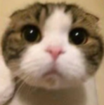 ふれんどの適当なグループ