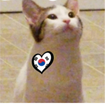 Pop cats <3
