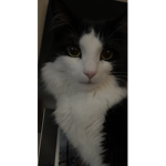 Sophiahehehe10